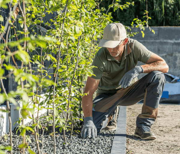 Landscaping Bookkeeping Hero Section